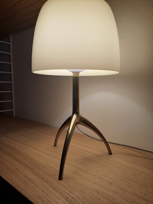 Foscarini piccolo avec variateur à cordon