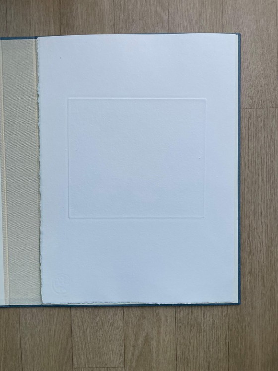 Image 1 of François-Xavier Lalanne (1927-2008) De Duif, 2004