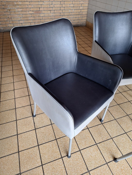 4 sillas de diseño Bert Plantagie Spargo