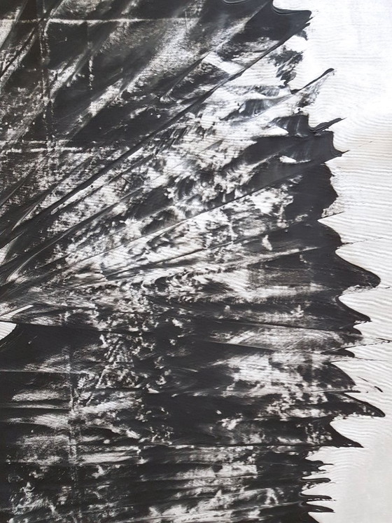 Image 1 of Jürgen Angeler - Zwarte Zilveren Sikkel