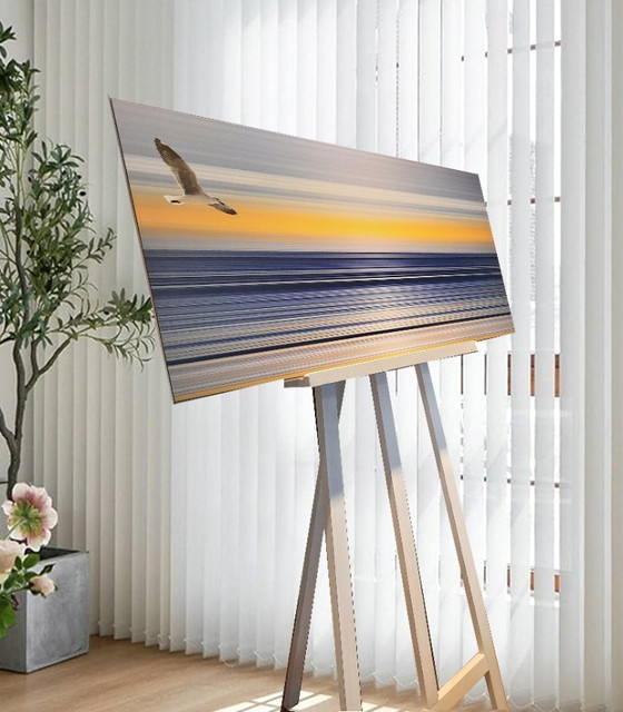 Image 1 of Sijbranda Sealines Jonathan Seagull