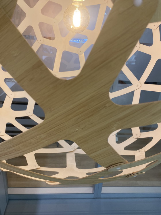 Image 1 of Lampada a sospensione in bambù/bianco Coral 100 David Trubridge