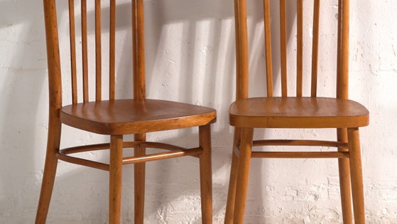 Antique chairs in TON bentwood – Czechoslovakia, circa 1960 #9 – Dining chairs (photo 3 of 40)