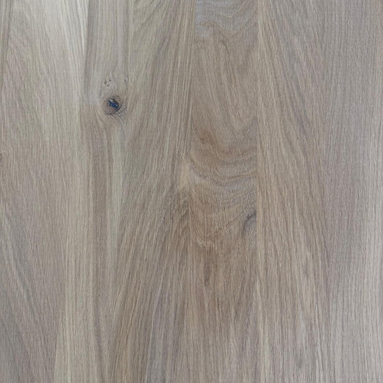 Image 1 of Tischgespräche