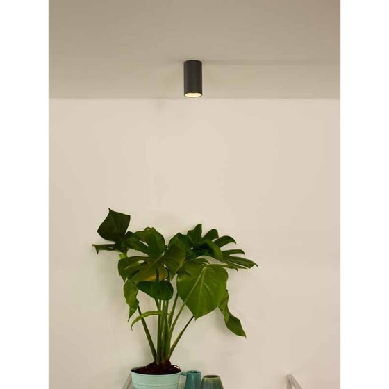 Lucide DELTO Ceiling Spotlight - Ø 5.5 cm LED Dim to warm - Grey – Spot lights, Aluminium, Modern (photo 3 of 3)