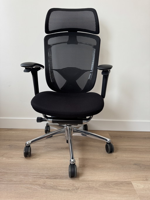 Okamura Contessa Seconda