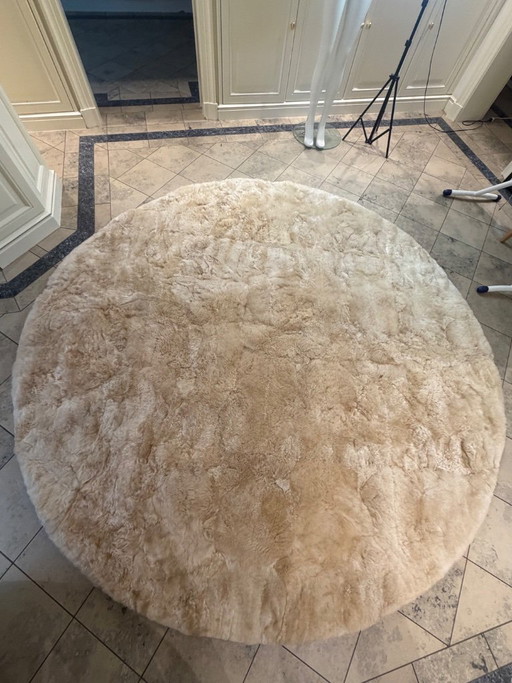 Alpaka Teppich Edwin rund 250 cm Champagner neuwertig Weich Couture   