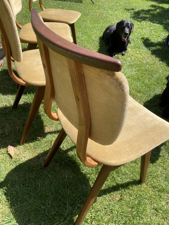 Set di 4 sedie vintage anni '60 – Louis van Teeffelen, Sedie da pranzo, Wood, Velvet (photo 13 of 13)
