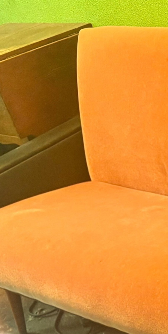 Image 1 of Divano letto vintage Rose in stile pastoe