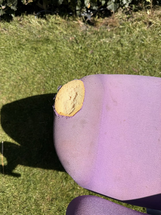 Image 1 of Little tulip Artifort (purple) badly damaged