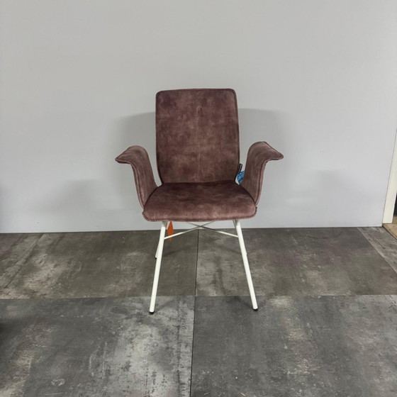Yanis Set of 4 – Bert Plantagie, Dining chairs, Textile, Design (photo 5 of 5)