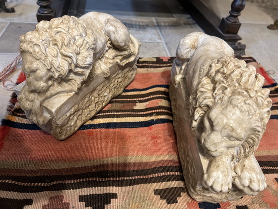 Image 1 of Canovas Löwen