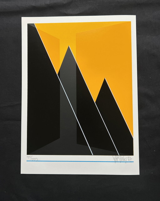 Screen print Wout Van Der Vet