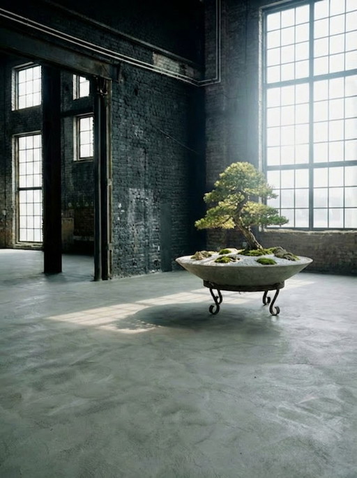 Willy Guhl Macetero Platillo XXL 140CM