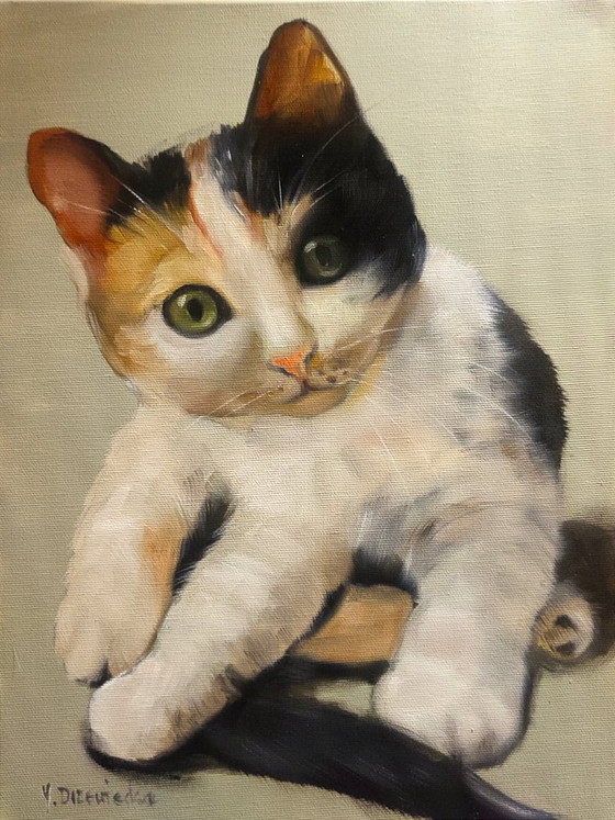 Image 1 of Joanna Drzewiecka - Kitten