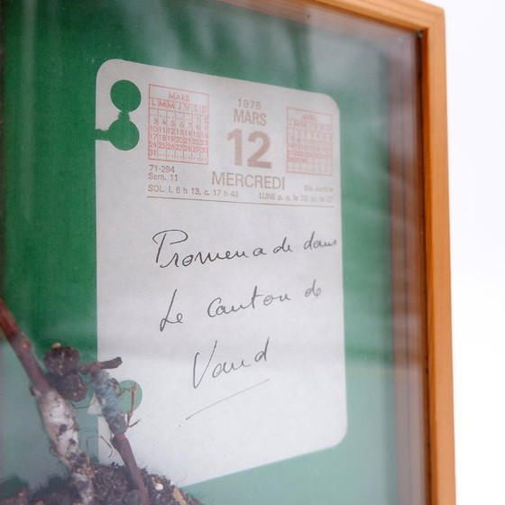 Image 1 of Kunst Installation "Spaziergang durch den Kanton Waadt" François Bouillon 12/35