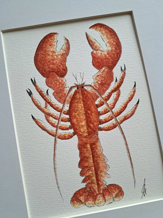 Original watercolor painting lobster | Including frame – Paintings & Drawings, Paper (photo 5 of 5)