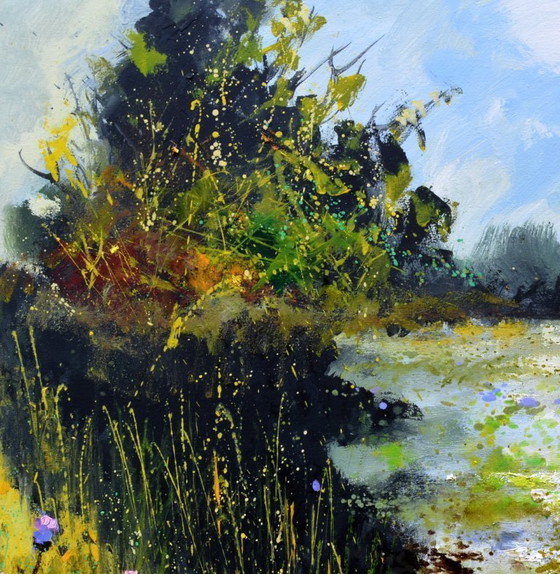 Image 1 of Acque tranquille