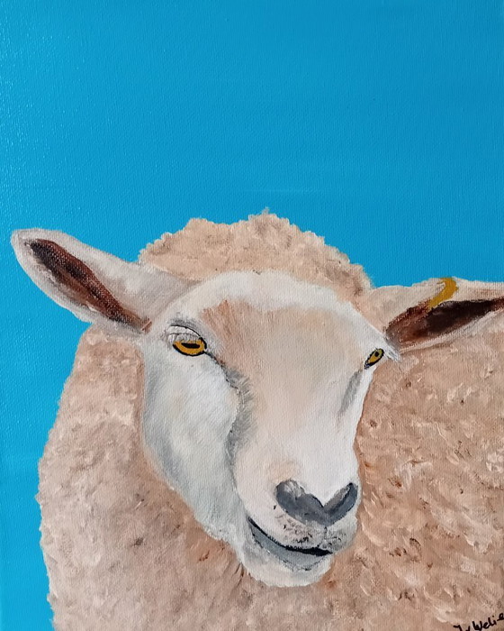 Image 1 of painting sheep (1)