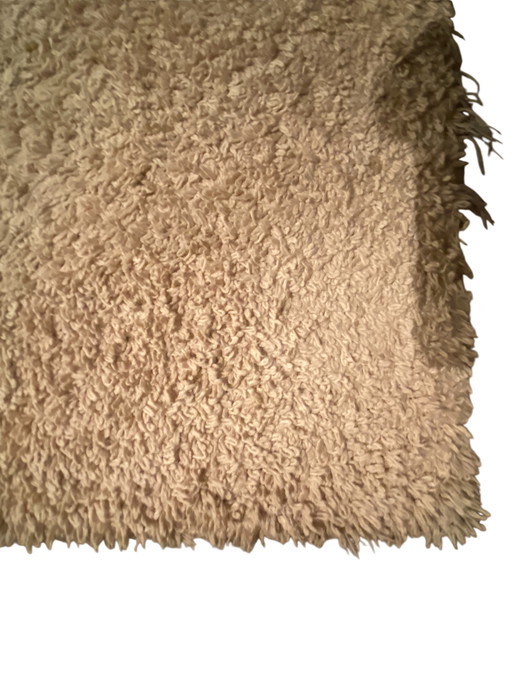 Carpet Van Besouw 3801 Sand Color