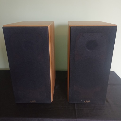 Gale 3020 Regallautsprecher