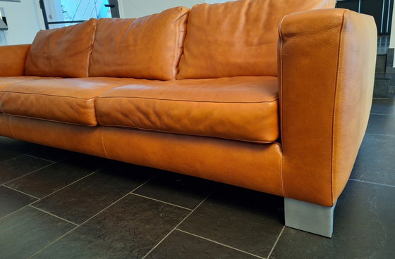 Image 1 of Classic Molinari leather sofa