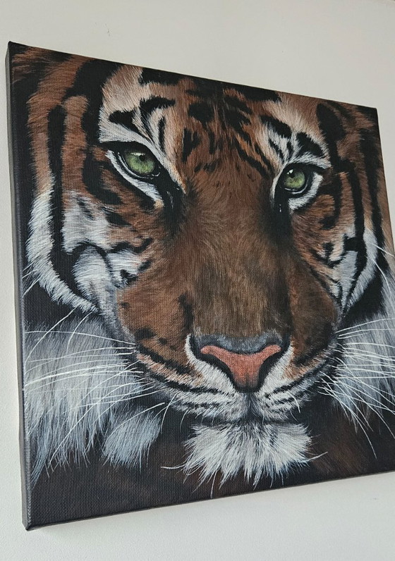 Image 1 of Handmade acrylic painting tiger "eye of the tiger"