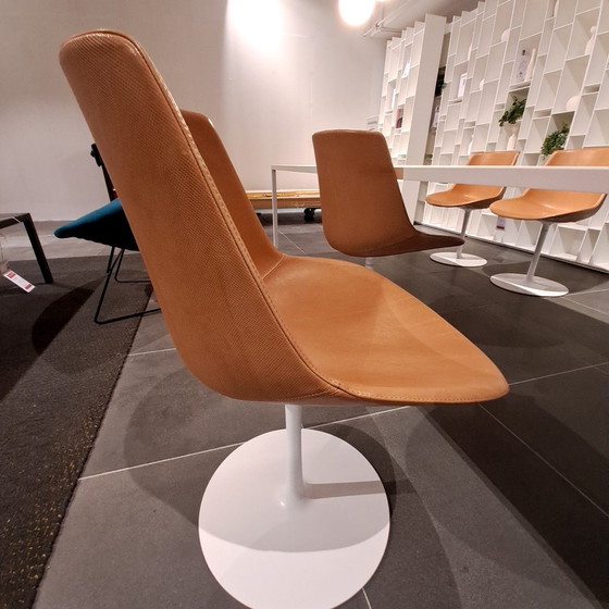 Image 1 of MDF Italia Flow Chair dining chair (set of 4)