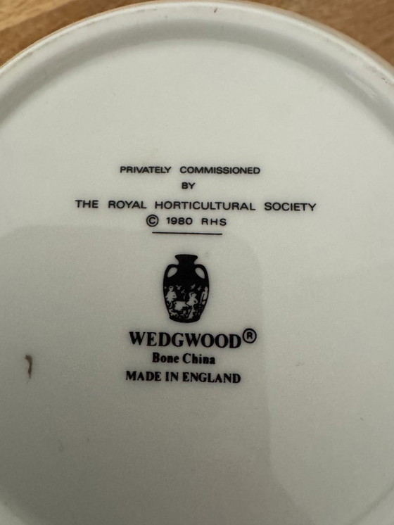 Image 1 of Wedgwood Vaas: La Royal Horticultural Society 1980