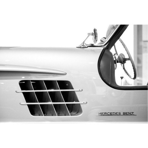 Numbered vintage print Gullwing by Franck Leclerc