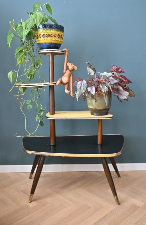 Table à plantes Mid Century