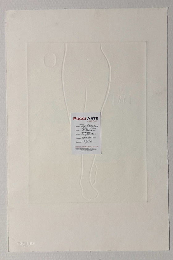 Aquatint Engraving José Ortega 40x60cm Eva's Legs Framed, Lithographs & prints, Paper, Wood, Multi Color (photo 6 of 7)