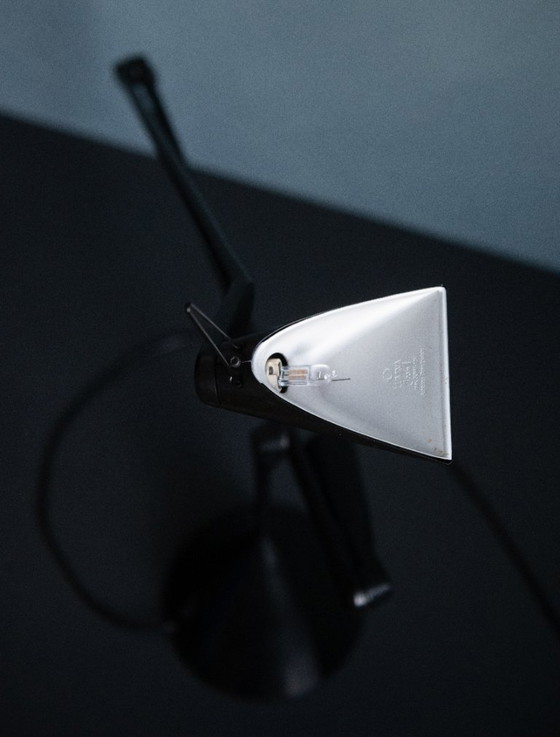 Image 1 of Lumina Zelig Table Lamp By Walter Monici