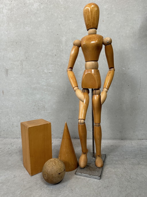 Vintage set of drawing models (space figures and XL anatomical drawing model)