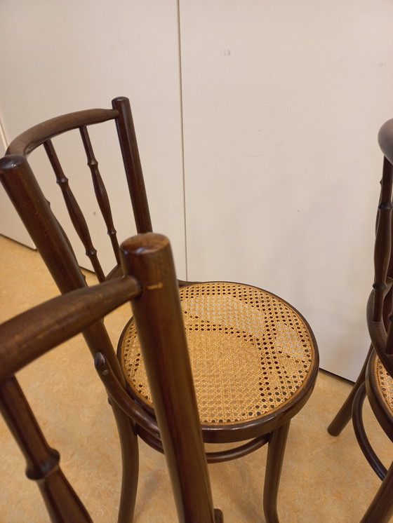 Image 1 of Satz von 3 Café-Stühlen im Thonet-Stil