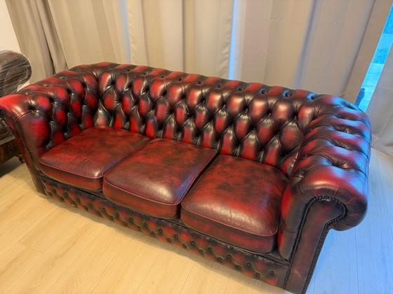 Chesterfield Oxblood – Divani 3 posti, Pelle (photo 6 of 8)