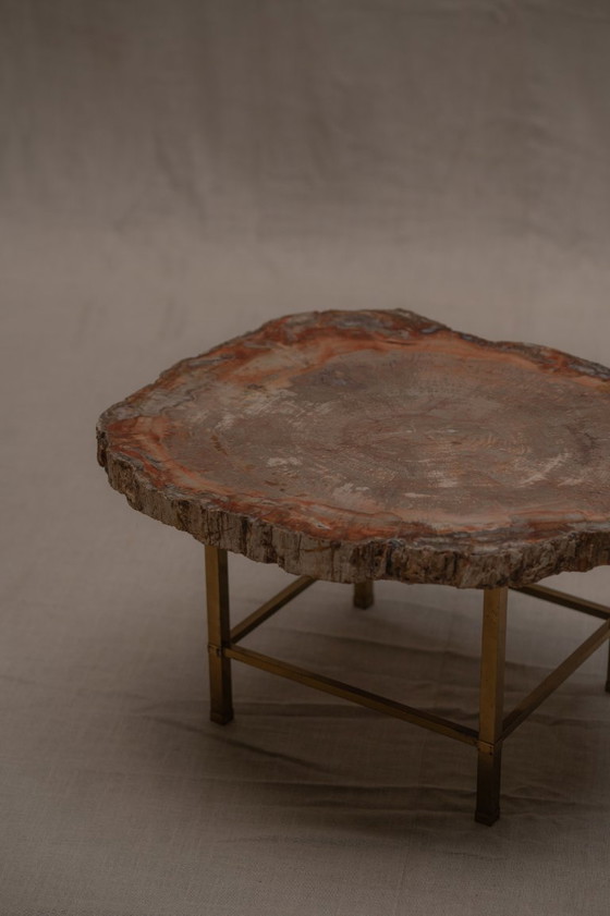 Image 1 of Table basse rare en bois pétrifié - années 1970
