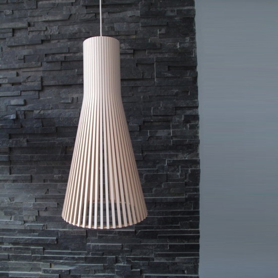 Image 1 of pendant lamp SECTO Birch