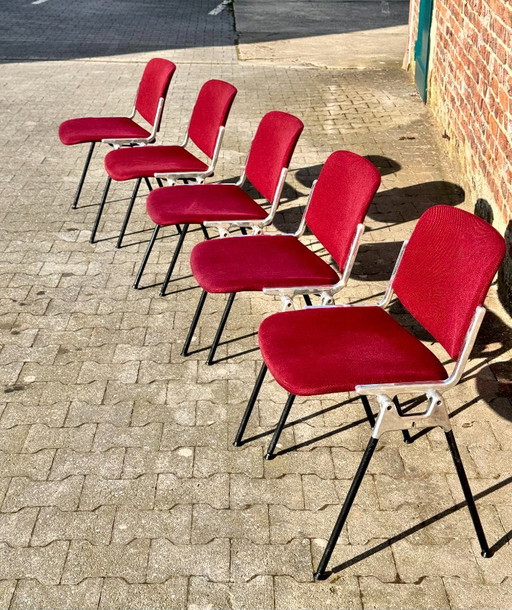 Castelli DSC 106 – Anonima Castelli, eetkamerstoelen, Cotton