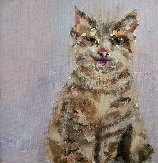 Acrylic cat in a floating frame