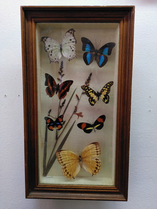 Cornice a farfalla vintage