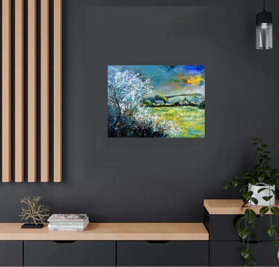 Image 1 of Primavera nella mia campagna