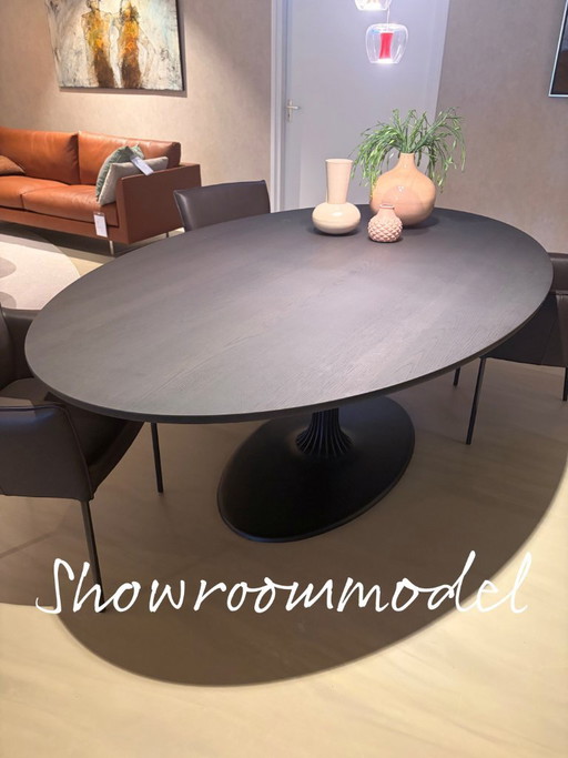 Arco Joist Ellipse dining table