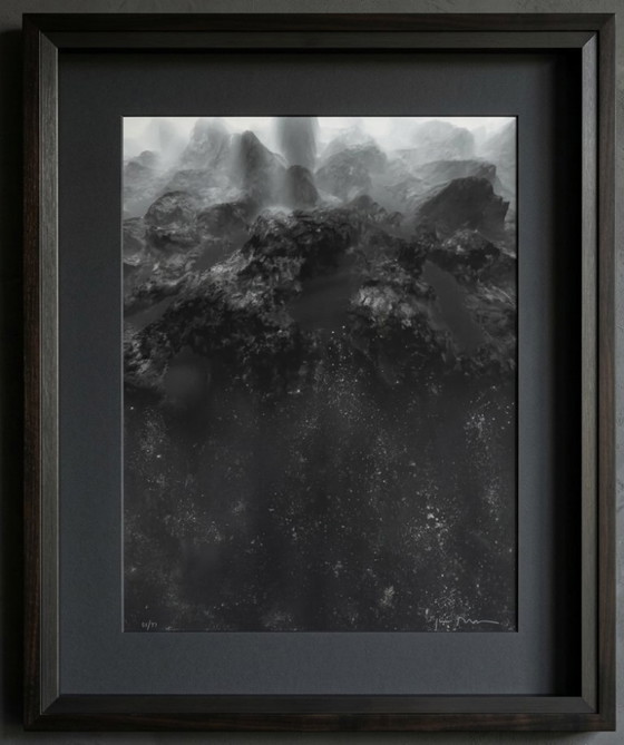 JOAN FONTCUBERTA, Lithographie mit Texturen retuschiert - Größe 95 x 74 cm. – Lithographien & Drucke, Paper (photo 5 of 5)