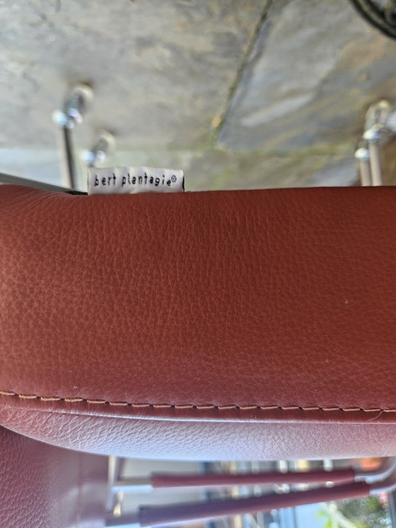 Image 1 of 4 red leather dining chairs on wheels, brand Bert Plantagie