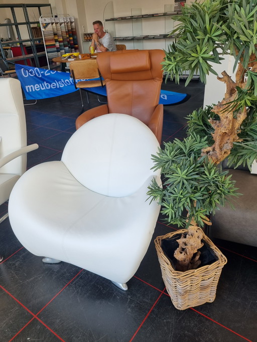 Leolux papageno retapizado