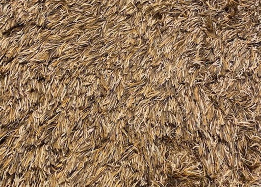 Carpet Sign Sauvage 60 rug - 200x300