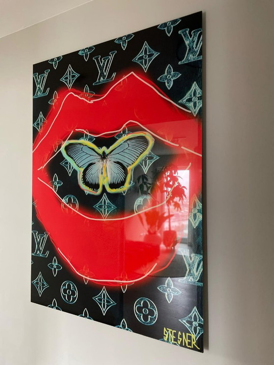 Splendida opera d'arte "Lipfly" di David Stesner (Cobra Art), Condizioni perfette!, Fotografie, Plexiglass (foto 2 di 5)