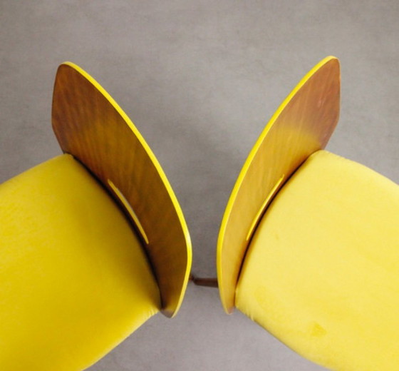 Image 1 of 4x Sillas Tatra Pravenec "Sol de Mañana"