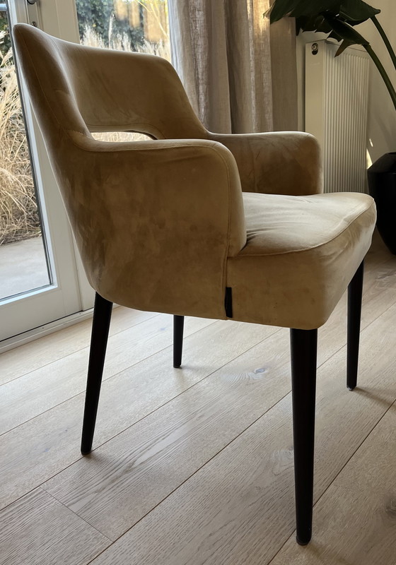 Image 1 of Set di lussuose sedie da pranzo Velvet Dôme Deco